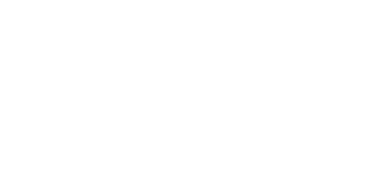 nile cruise plus