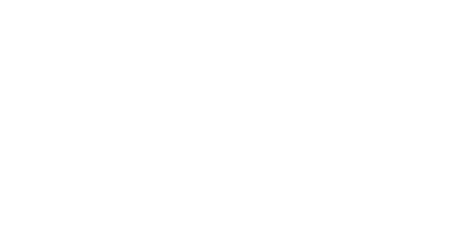 nile cruise plus