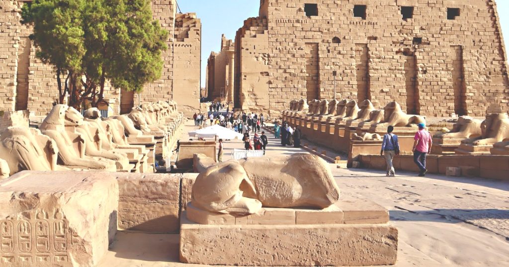 Day Trip to Luxor from Marsa Alam