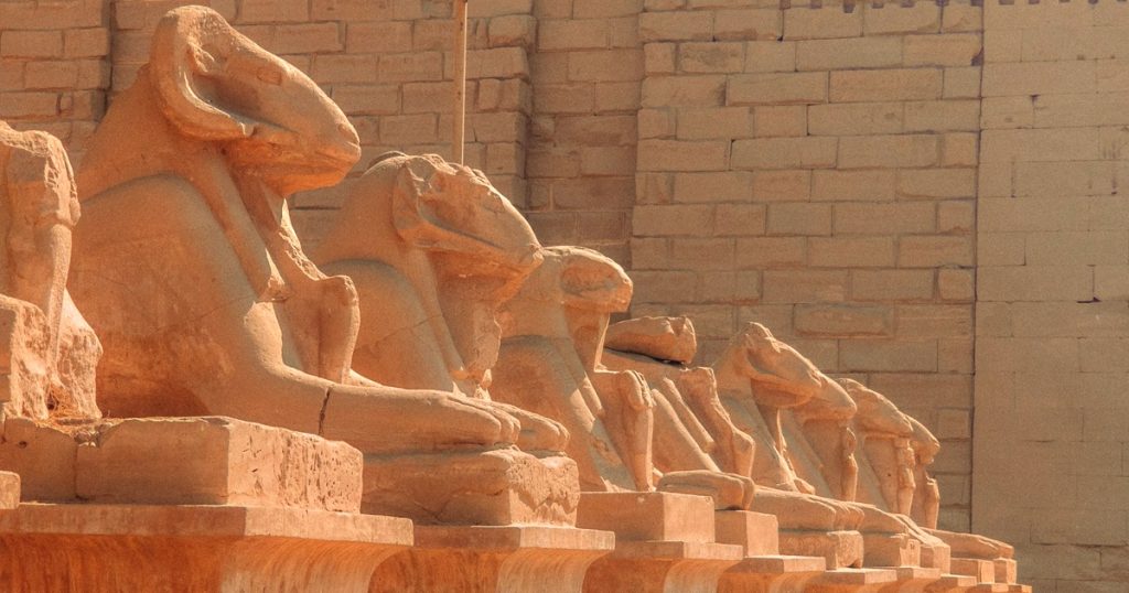 Day Trip to Luxor from Marsa Alam