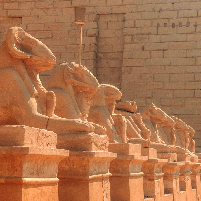 Day Trip to Luxor from Marsa Alam